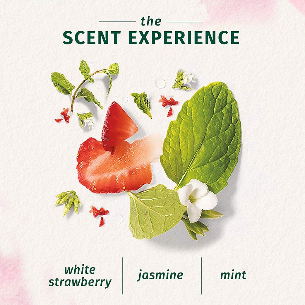 Herbal Essences Bio:Renew Clean White Strawberry & Sweet Mint Conditioner (400ml)