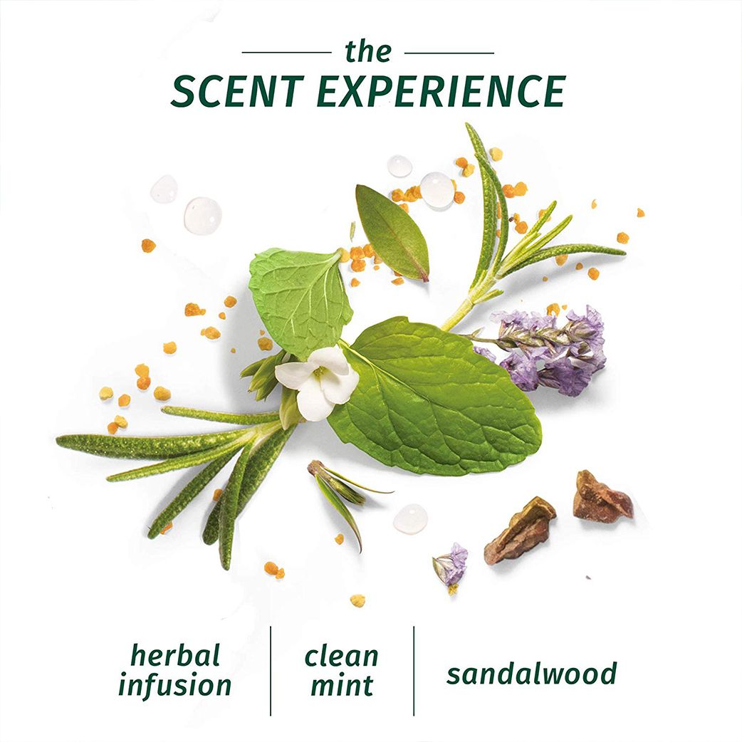 Herbal Essences Bio:Renew Moisture Rosemary & Herbs Conditioner (400ml)