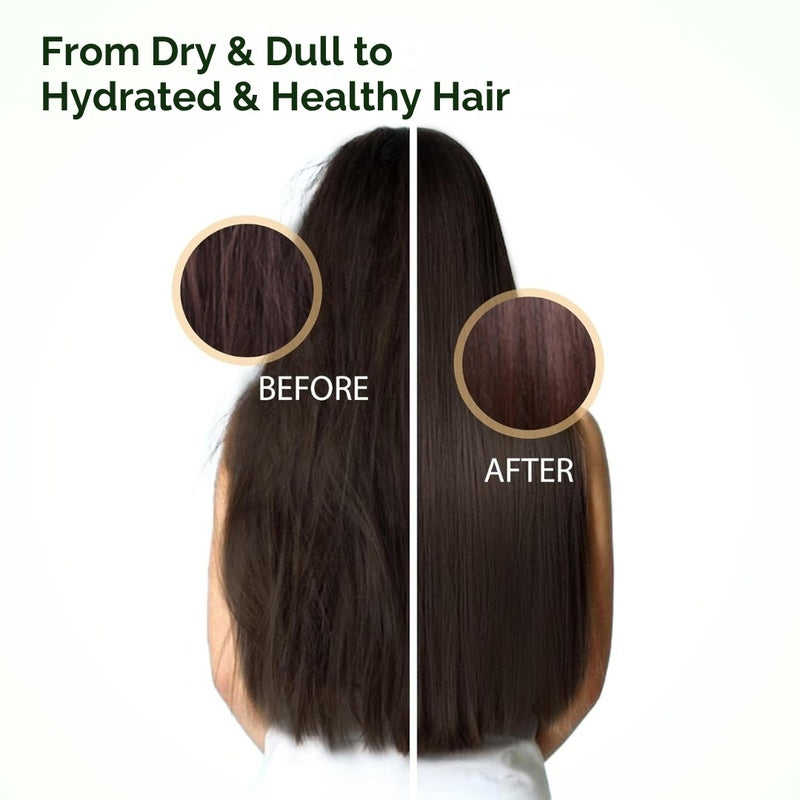 Aurey Hydrargan Pro Shampoo With Argan Oil &amp; D-Panthenol 5000 ml