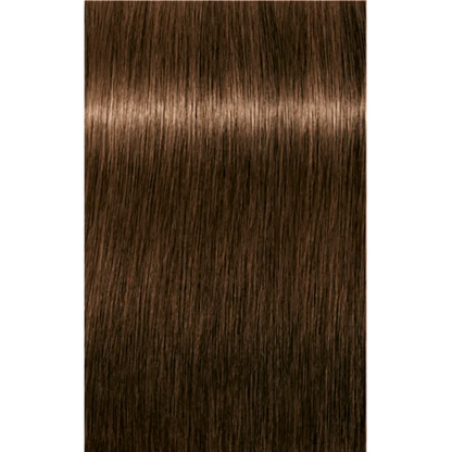 Schwarzkopf Professional Igora Royal Absolutes Permanent Color Creme (5-50 Light Brown Gold Natural)