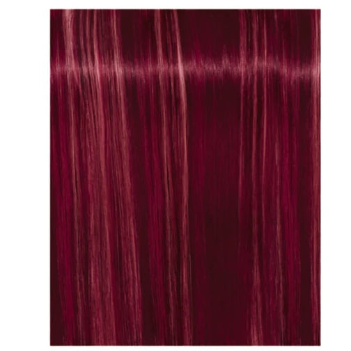 Schwarzkopf Professional IGORA Royal Fashion Lights Permanent Highlight Color Creme (L-89 Red Violet)