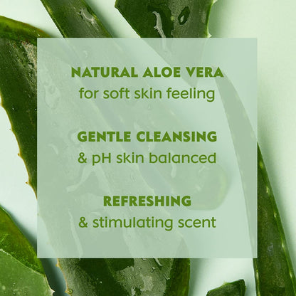 NIVEA Fresh Aloe Shower Gel (250ml)