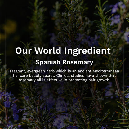 Pilgrim Spanish Rosemary & Biotin Anti-Hairfall Shampoo (200ml)