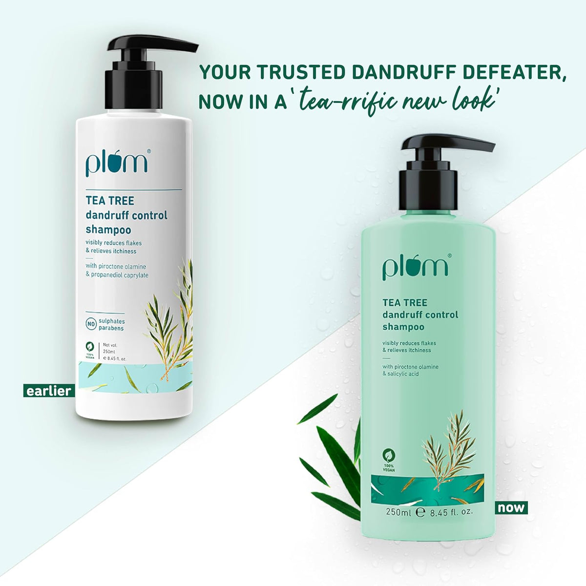 Plum Tea Tree Dandruff Control Shampoo, Paraben-Free with Piroctone Olamine (250ml)