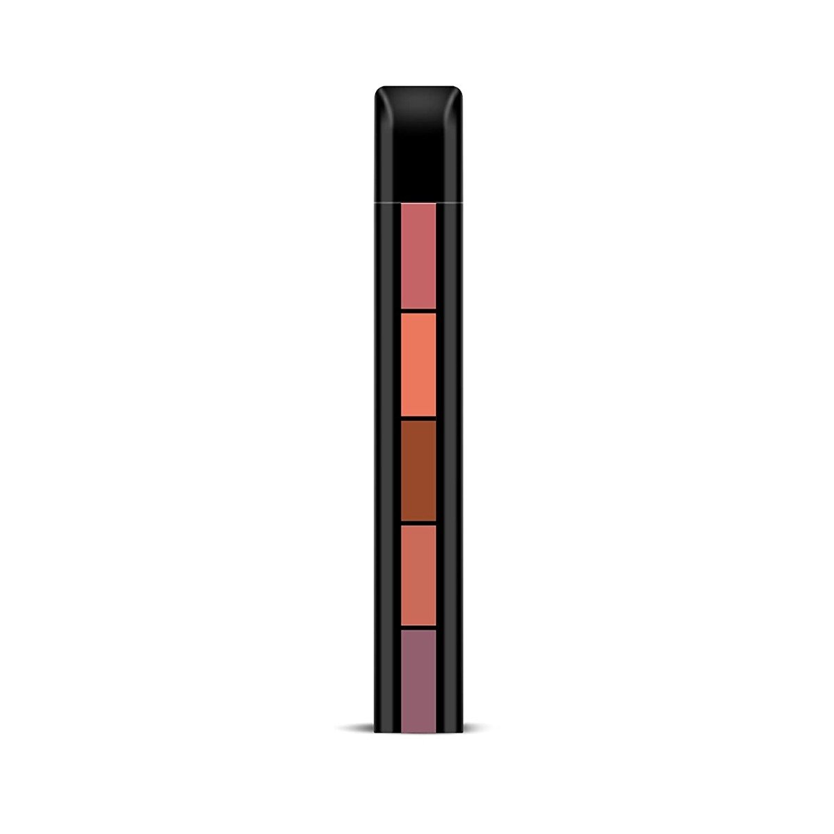Renee Cosmetics FAB5 5 in 1 Nude Lipstick (7.5gm)