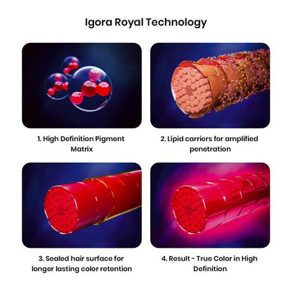Schwarzkopf Professional Igora Royal Permanent Color Creme (0-11 Anti Yellow Concetnrate)